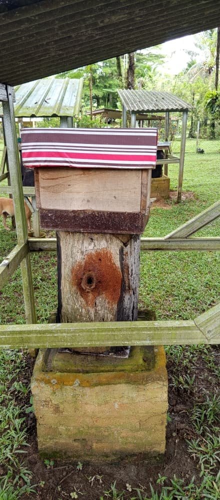 Stingless bee hive box